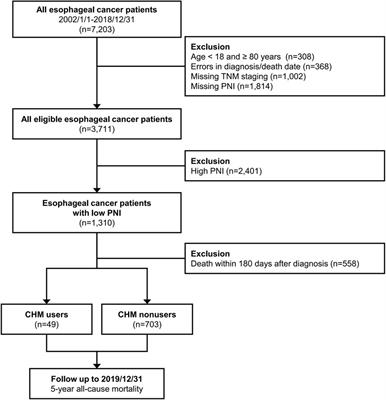 Can Chinese herbal medicine offer feasible solutions for newly diagnosed esophageal cancer patients with malnutrition? a multi-institutional real-world study